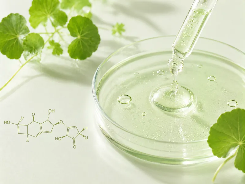 Centella Asiatica & Ceramide